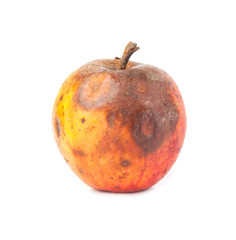 rotten apple