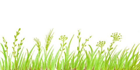 Obraz premium Green spring grass. Hand-drawn sketch by colored crayon