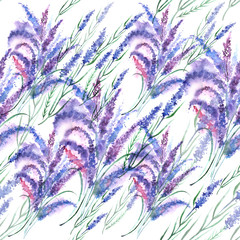 Vintage pattern - lavender. Bouquet of wild lavender flowers, made with watercolors - 113251861