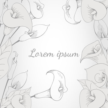 Hand-drawing floral background with flower calla