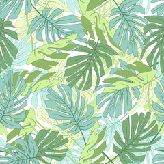 Tropical palm leaves.