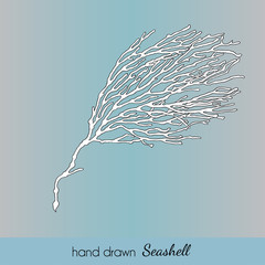 Hand drawn seashell. Branch of Coral. Vector illustration for tr