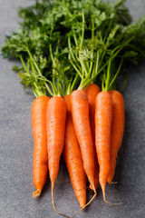 Fresh carrots bunch on a grey stone background Top view Copy space