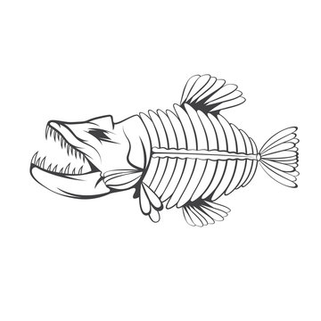 vector design template of aggressive tropical fish skeleton
