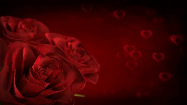 rotating red rose with heart particles - 3D render. seamless loop