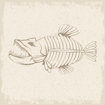 grunge vector design template of aggressive tropical fish skelet