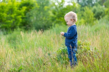 Small caucasian boy playing outdoor on meadow