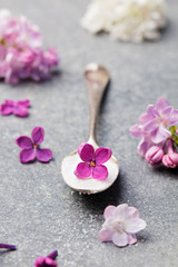 Fototapeta na wymiar Lilac flowers sugar with flower blossoms in glass jar Grey stone background