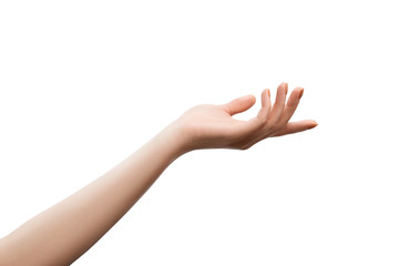 Female hand holding something, isolated - Powered by Adobe