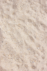 Sand Texture