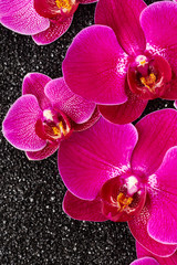 Panele Szklane  Kwiaty orchidei