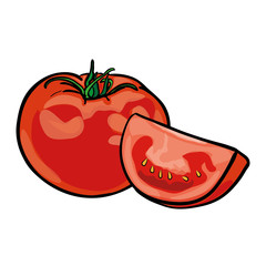 TOMATO illustration vector