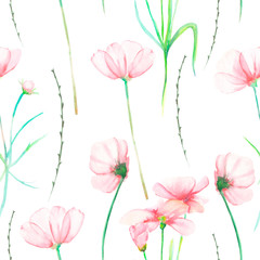 A seamless floral pattern with watercolor hand-drawn tender pink cosmos flowers, painted on a white background