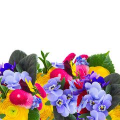 Posy of violets, pansies and ranunculus