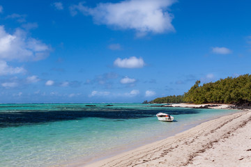 Obraz premium tropical beach in Mauritius Island, Indian Ocean
