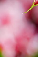 otel room keycard door lock