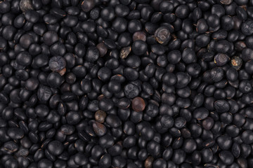 black lentils background closeup