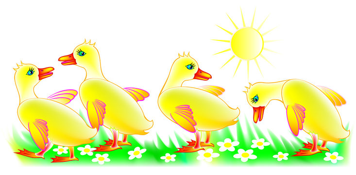 Illustration of four little ducklings, vector cartoon image.