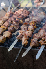 Man cooking marinated shashlik or shish kebab, chiken meat grilling on metal skewer, close up. Selective focus