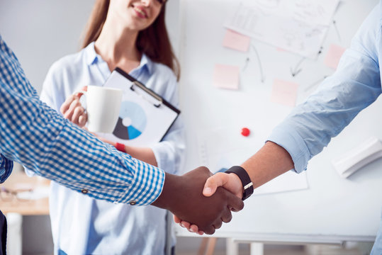 Pleasant colleagues shaking hands