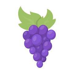 Grapes icon cartoon. Singe fruit icon from the food set. - 113267439