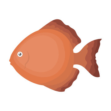 recommend clip art: Discus fish icon cartoon. Singe aquarium fish icon from the sea,ocean life set.
