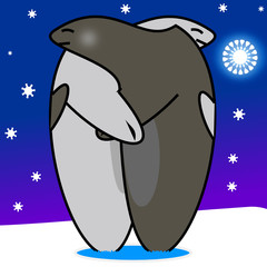 Dos focas abraz&aacute;ndose en el Polo Norte