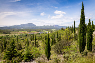 paysage méditerranéen avec le Pic Saint lou en fond