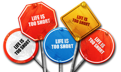 life is too short, 3D rendering, rough street sign collection