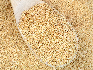 Amaranth seeds in wooden spoon