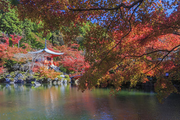 Naklejka premium Beautiful fall landscape around Kyoto