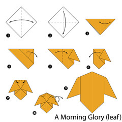 step by step instructions how to make origami A Morning Glory.