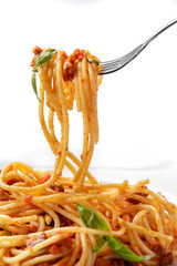 italian cuisine spaghetti bolognese on fork