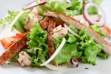 Chicken salad with mushrooms and onion close-up. Portion of salad of lettuce, grilled chicken, mushrooms, onion and cumin seeds on white background