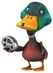 Duck