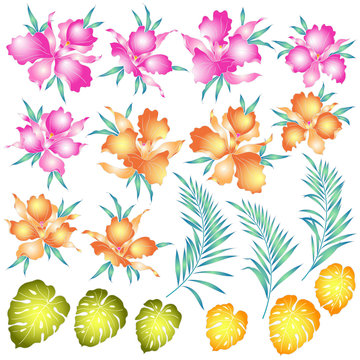 colorful tropical flowers and leaves clip art preview
