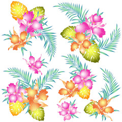 カトレアのイラスト