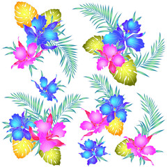 カトレアのイラスト