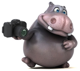 Hippo