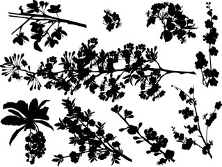silhouette of nine blossoming tree branches