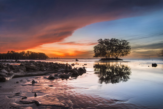 Mangroves in the water with rocky beach and colorful sunrise sky