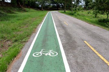 Separate bicycle lane on asphalt in the park. White bike symbol