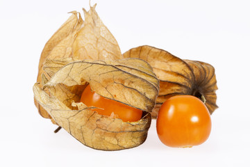 Fruits Physalis ( Physalis peruviana)  on white background