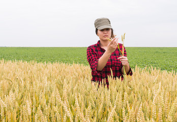 woman farmer in a field of wheat © Dusan Kostic