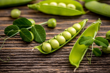 Fresh pea fruit
