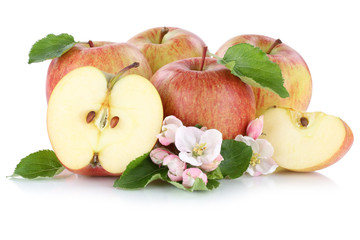 Apfel Äpfel Frucht Früchte geschnitten Hälfte Freisteller fre