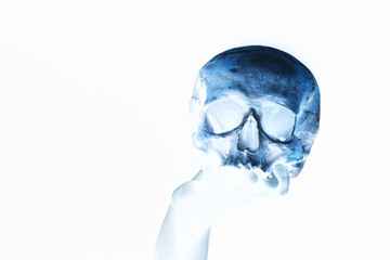 Human blue skull on isolated white background. The colors were inverted. Mystical skull, magic