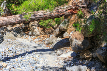 Samaria Gorge on Crete, Grece