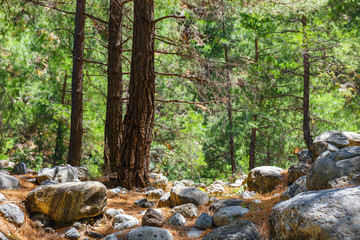 Samaria Gorge on Crete, Grece