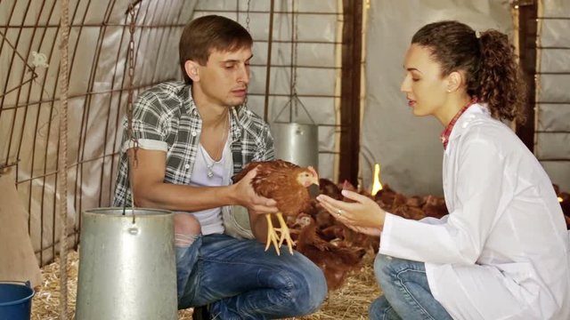  female veterinarian talking to male farmer in hen house 
